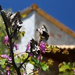 度假居 Mouses Apartments-kardamyli 卡德哈米利