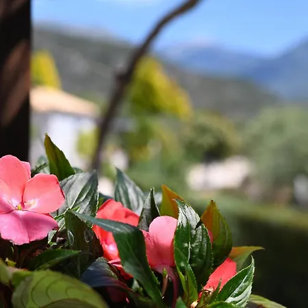 Hébergement de vacances Mouses Apartments-kardamyli Kardamyli