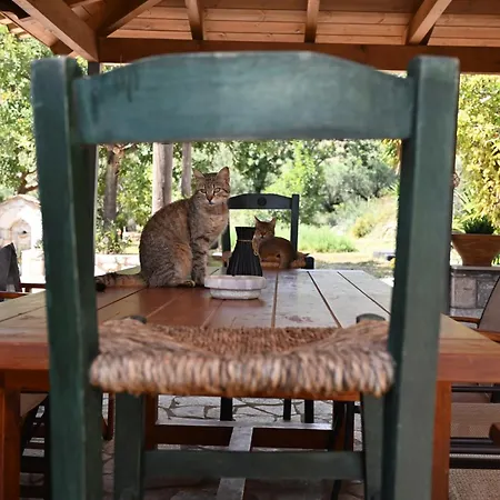 Mouses Apartments-kardamyli