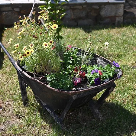 Hébergement de vacances Mouses Apartments-kardamyli Kardamyli