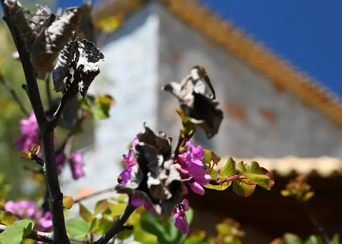 Vakantiehuis Mouses Apartments-kardamyli Kardhamili