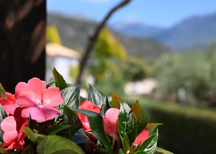 Vakantiehuis Mouses Apartments-kardamyli Kardhamili