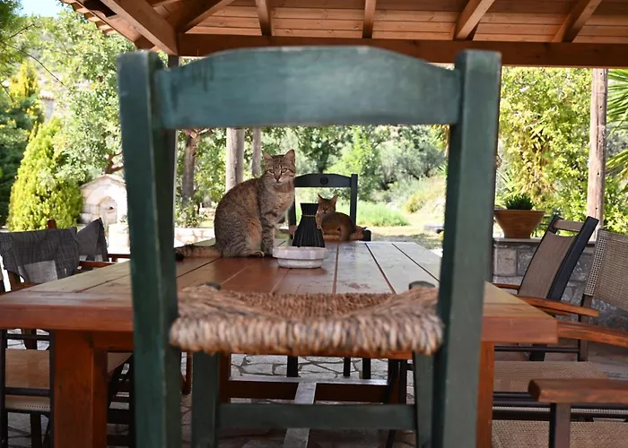 Mouses Apartments-kardamyli