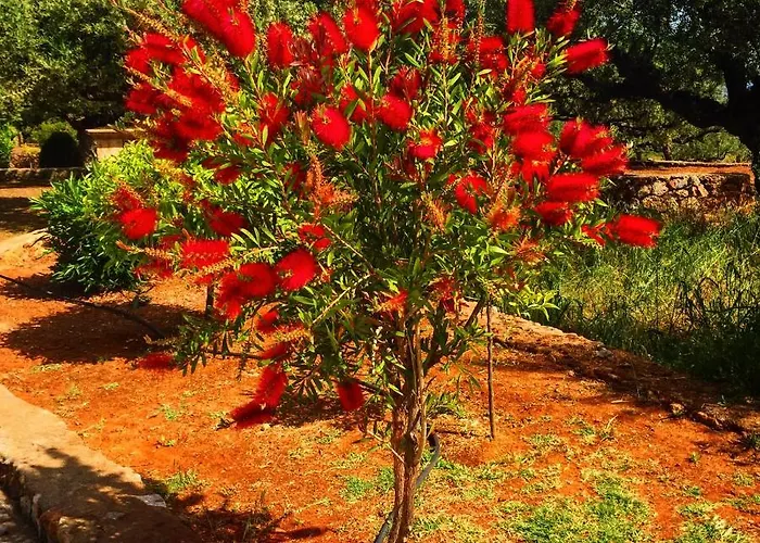 בית נופש Mouses Apartments-kardamyli *