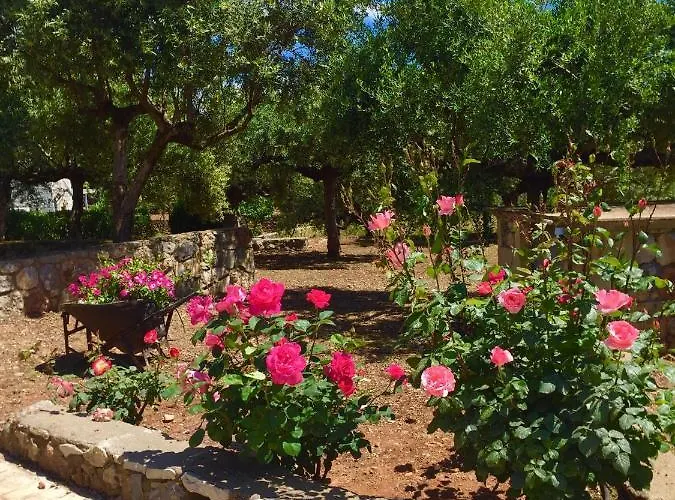 Mouses Apartments-kardamyli Vakantiehuis Kardhamili